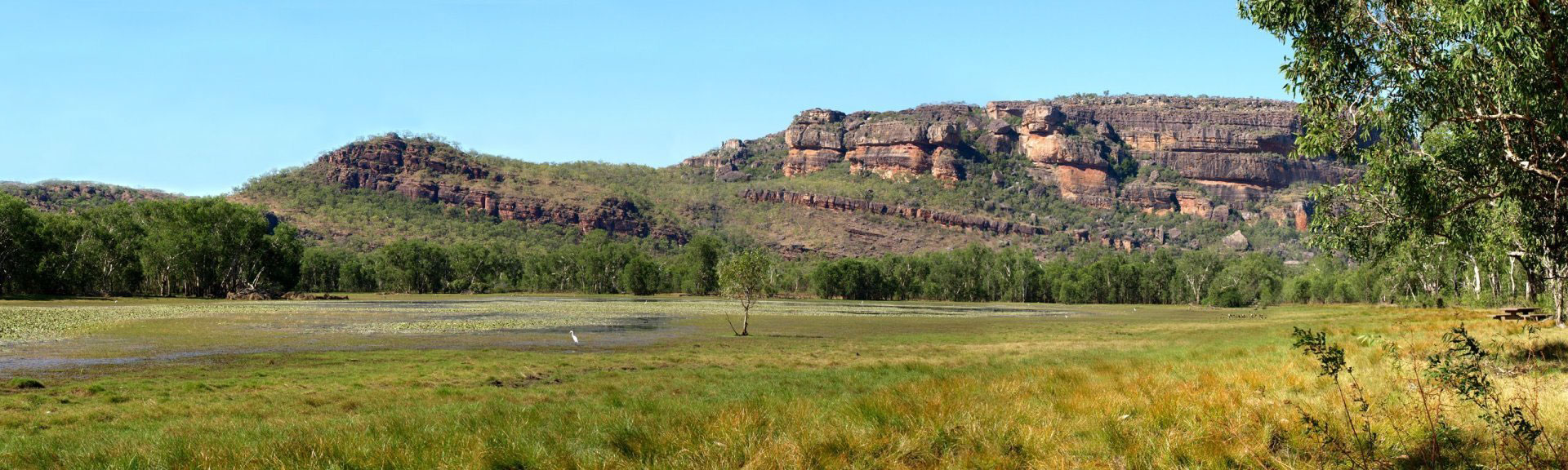 wlaking tracks and trails at anbangbang billabong in Kakadu 