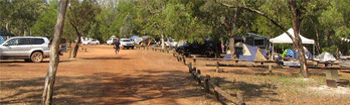 Campground tjuwaliyn douglas hot springs