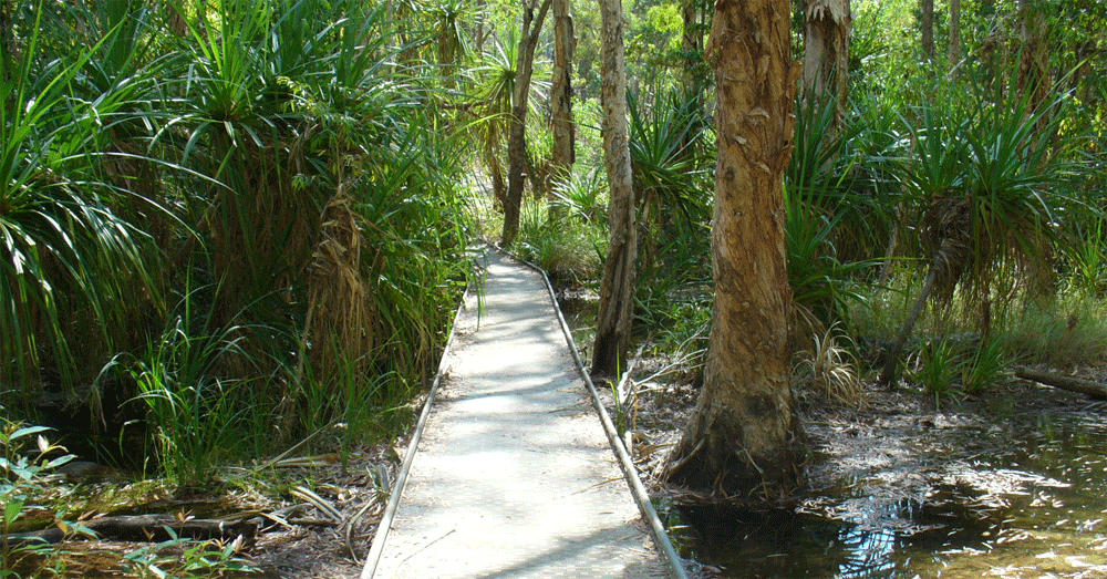 Part of the walk to Maguk Pool and Maguk Waterfall in Kakadu National Park