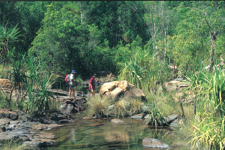 Maguk Watertfall and Maguk Gorge Kakadu