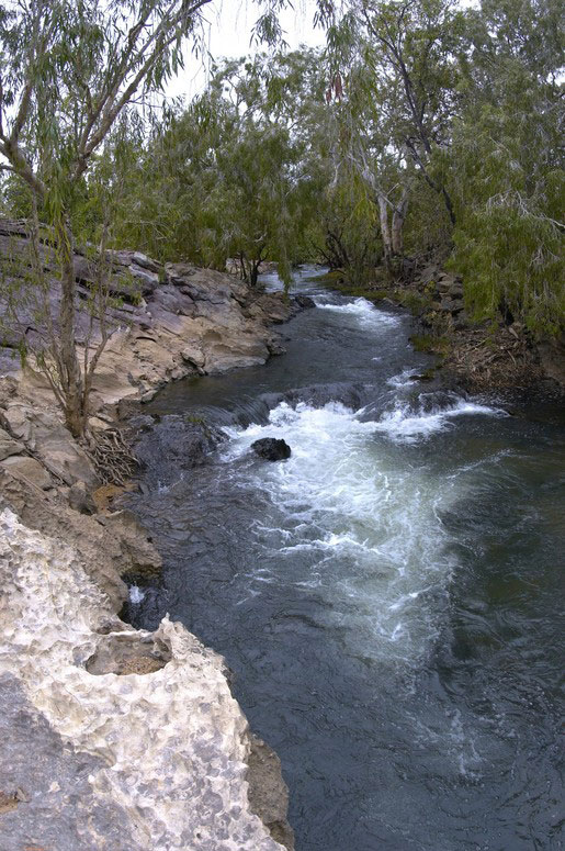 Tjuwaliyn (Douglas) Hot Springs 