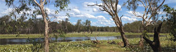 Campground Sandy Billabong